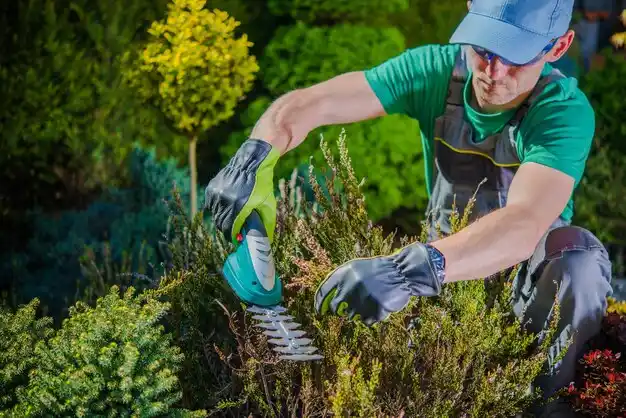 landscaping services Boutte